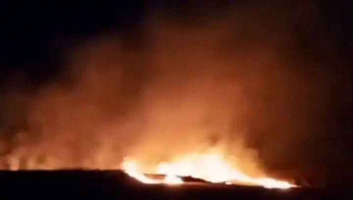 Tekirdağ'da 20 Dekar Buğday Tarlasının Kül Olması: Ekonomik Yıkım!