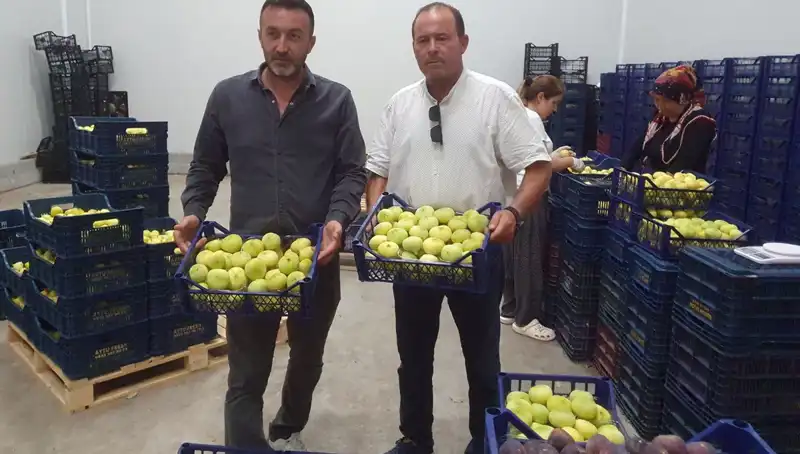 Mersinli Çiftçinin Yüzü, 20 TL'den İhraç Edilen Ürünlerle Güldü!