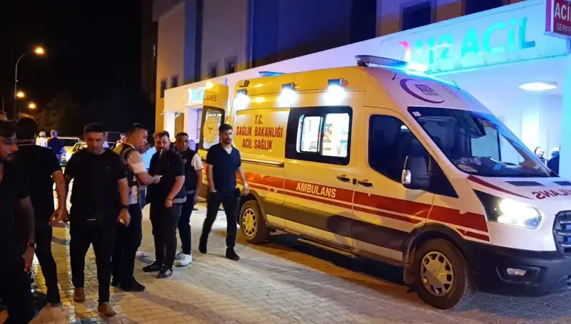 Aile İçi Kavga Kanlı Bitti: Kardeşi Hayatını Kaybetti!