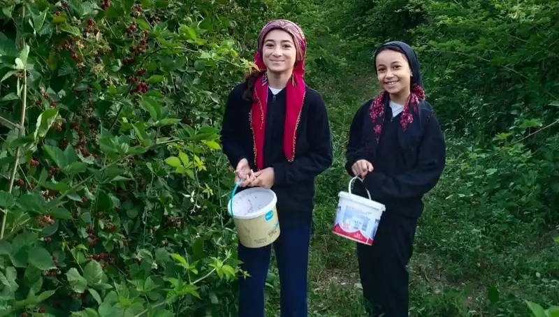 Kanserle Savaşta Yeni Umut: Antioksidanların Zengin Etkileri