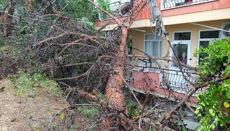 Yağmura Dayanamayan Bina Aniden Yıkıldı: Şok Edici Anlar