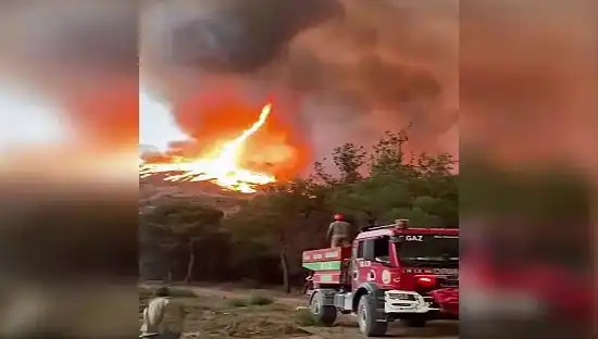 Bilecik'te Çıkan Yangın Aniden Tehlikeli Bir Duruma Dönüştü