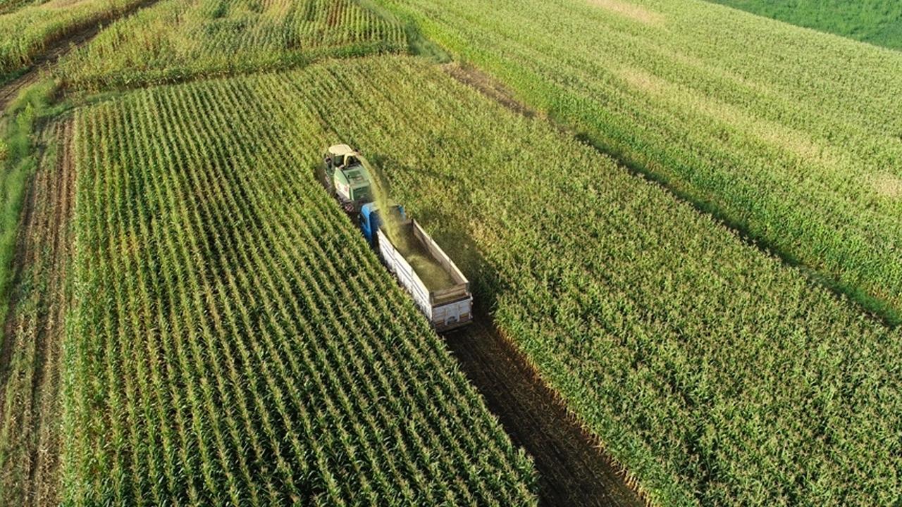 Tarım sektörüne destek olacak 2,3 milyar liralık ödeme