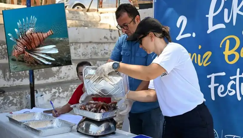 Antalya'da İstilacı Aslan Balığı Avlama Yarışması: Denizlerin Koruyucuları Göreve!