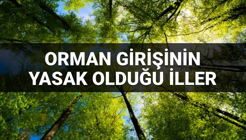 2025 Yılında Ormana Girişi Yasaklanan İller Hakkında Bilmeniz Gerekenler