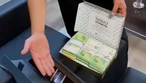 Manavgat Belediyesi'nde Şoke Eden Operasyon: Baklava Kutularından Avrolar Çıktı