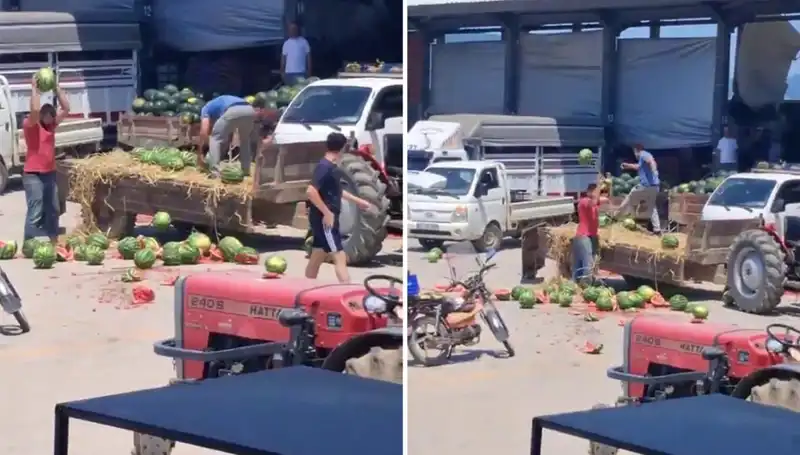 Karpuzları Yere Atıp Parçalayan Çiftçilere Kötü Haber Geldi!