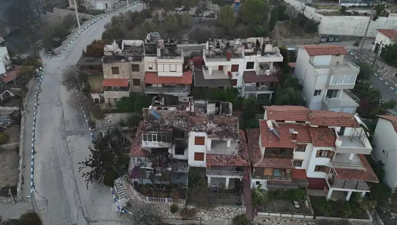 Orman Yangınları Felaketi: Evler Yok Olurken, Doğa Yeniden Yeşerebilir mi?