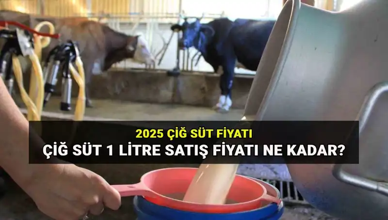 2025’te Çiğ Süt Fiyatları: Ulusal Süt Konseyi’nin Beklentileri Neler?