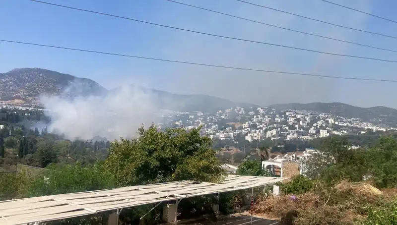 Muğla Orman Yangınları Kontrol Altına Alındı: Son Durum ve Alınan Önlemler