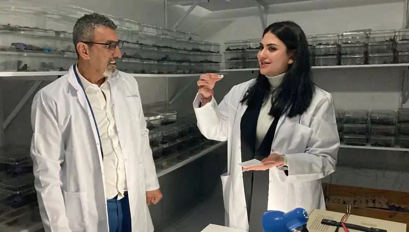 Şeker İçindeki Akrep Lezzeti: Cesur Tat Macerası