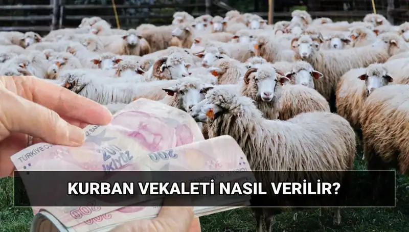 Vekaletle Kurban Kesimi: 2025'te Diyanet’in Belirlediği Ücretler ve Süreç