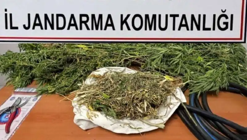 Niğde'de Büyük Uyuşturucu Operasyonu: Bu Kez Kayıp Sözler Mi?