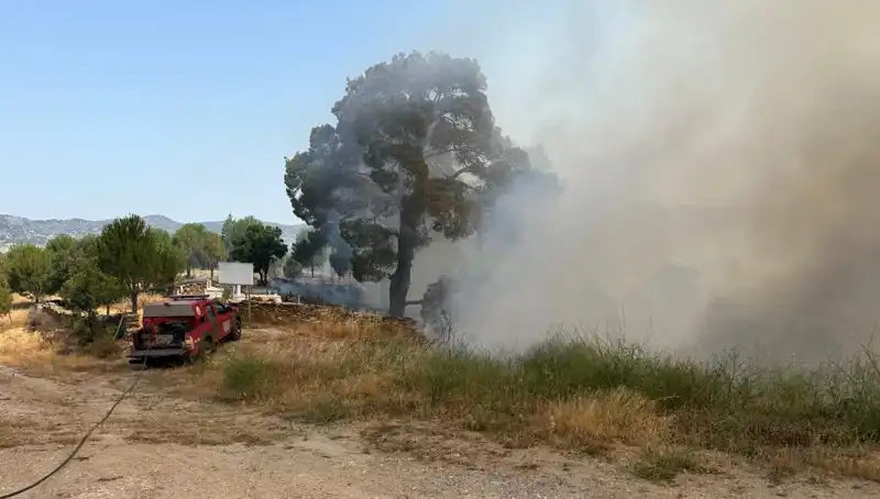 Muğla’da Orman Yangını: Doğa ve Hayatlar Tehdit Altında