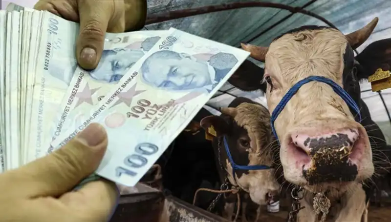 Emekli ve Memur Maaşları Bayram Öncesi Ödenecek Mi?