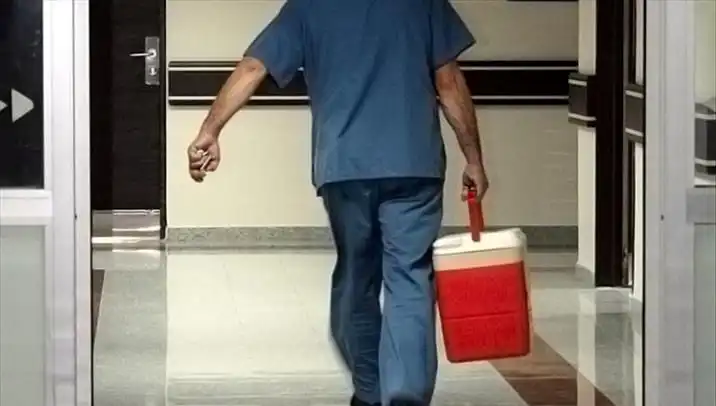 Organ Bağışında Yeni Dönem: e-Devlet ve e-Nabız ile Kolay Başvuru