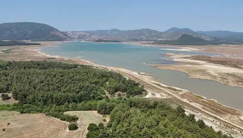 İzmir’de Tehlike Çanları: İstatistiklerde Yüzde 50 Düşüş Şaşkınlık Yarattı