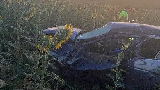 Otomobil Ayçiçeği Tarlasına Devrildi: Korkutan Kaza ve Yaralıların Durumu