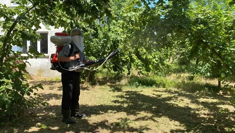 Çiftçinin Umudu: Kükürt ve Samuray Arısının Gücü
