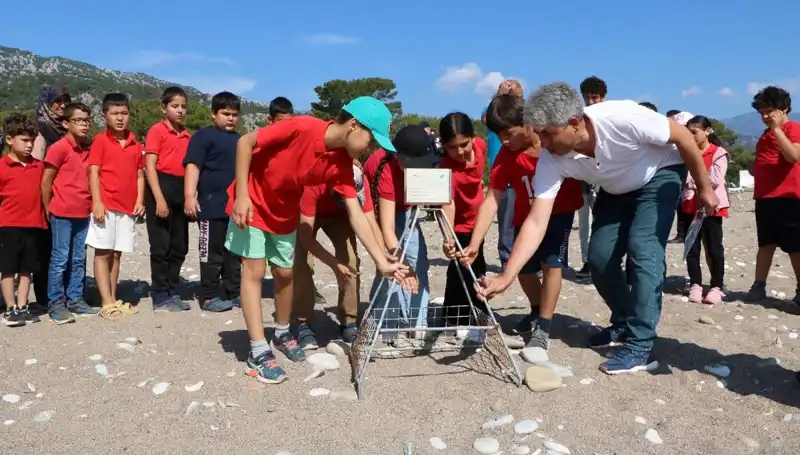 Kemer'de Caretta Caretta Koruma Yasakları Başladı: Doğa Severler Dikkat!