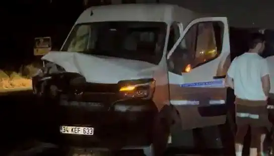 İstanbul'da Manda Kazası: Üç Kişi Yaralandı, Detaylar Böyle Gelişti