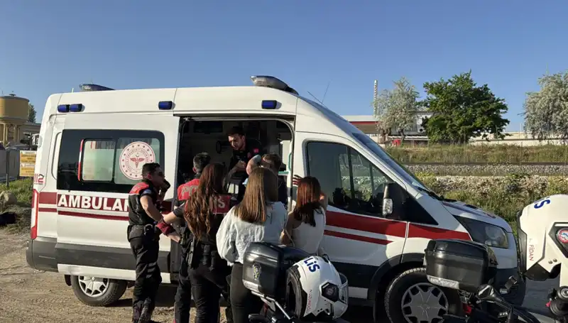 Hayatın Kıyısında: Arkadaşının Dallarıyla Yeniden Doğan Bir Umut