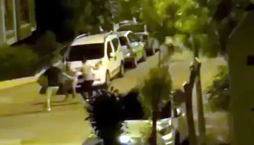 Avcılar'da Yürekleri Alevlendiren Saldırı: Vatandaşlar Kurtardı!