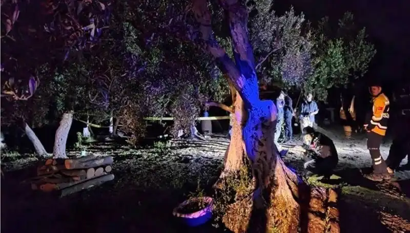 Çiftlikteki Kan Donduran Vahşet: Baltalı Saldırı ve Tutuklama!