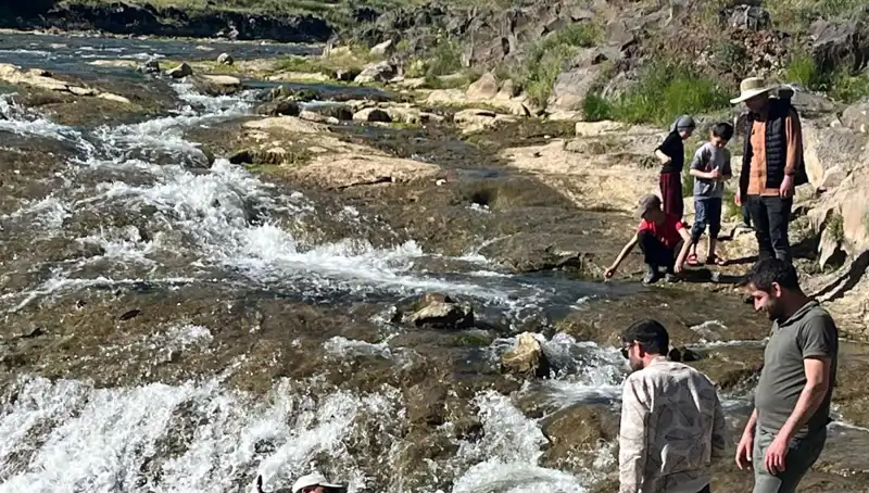 İnci Kefali Göçü: Doğanın Eşsiz Mucizesi Turistleri Büyülüyor