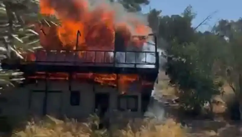 Bodrum'da Yangın Alarmı! Ekiplere Sabaha Kadar Mücadele