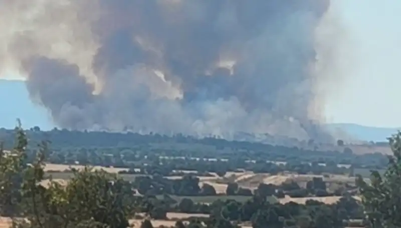 Komşuda Patlayan Orman Yangını Edirne'yi Kül Etti