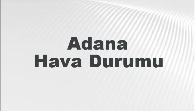 Dijital Dönüşüm: İş Dünyasının Geleceğini Şekillendiren 5 Trend