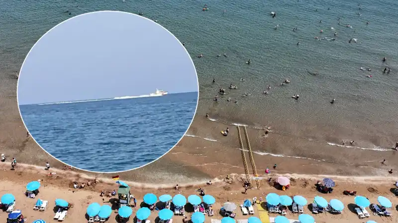 Plajda Köpek Balığı Korkusu: Tatilci Şok Oldu, Gerçek Nedir?