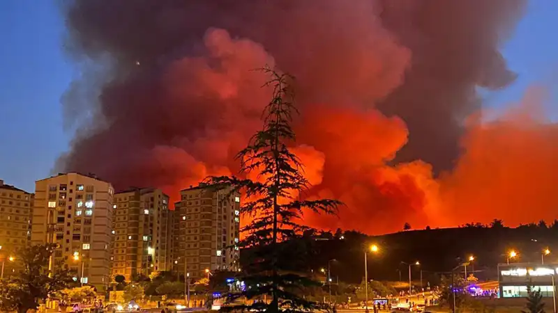 Bursa'da Yangınlar: Şehrin Havası Kararıyor, Nedeni Ne?