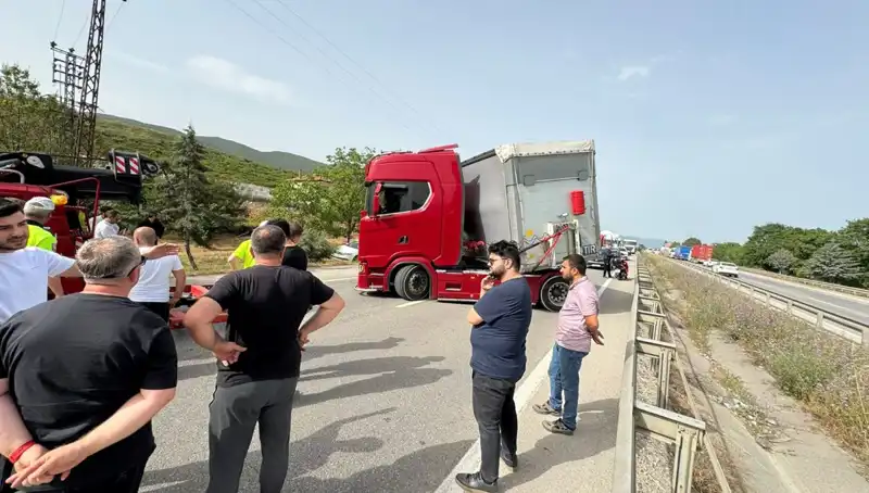 Seyir Halinde Arı Sokması: Traffikte Şaşırtan Anlar ve Sonrası