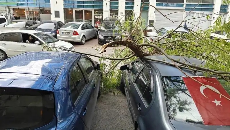 Kayseri'de Şiddetli Fırtına Dalları Kırdı, Hayat Durma Noktasına Geldi