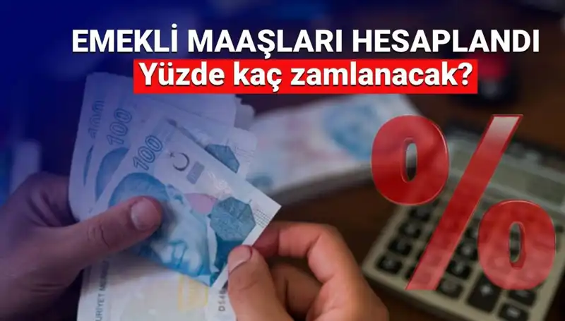 Emekli Zamları İçin Tarih Verildi: Beklentiler Gerçek Olacak mı?
