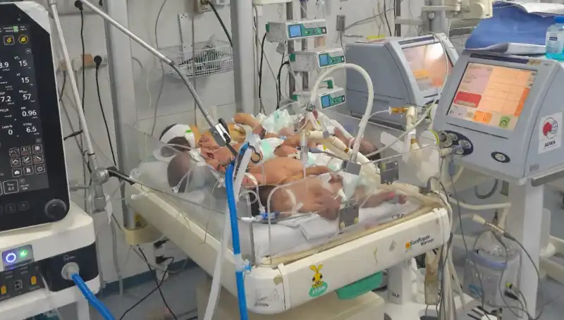 Gazzeli Doktorlar Çağrıda Bulundu: "Aynı Kuvözde Birden Fazla Bebek Hayat Mücadelesi Veriyor!"