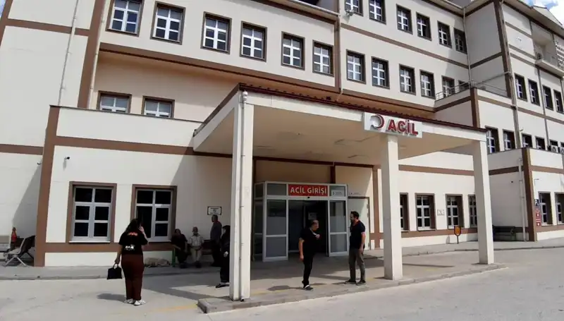 Bolu’da Ayı Avı Kararına Tepkiler Çığ Gibi Büyüyor