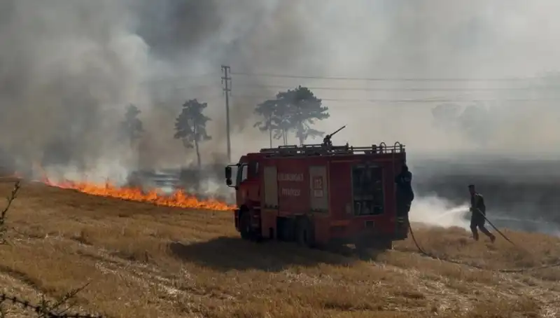 Kırklareli'nde Korkutan Anız Yangını: Olayın Ardındaki Nedenler ve Sonuçları